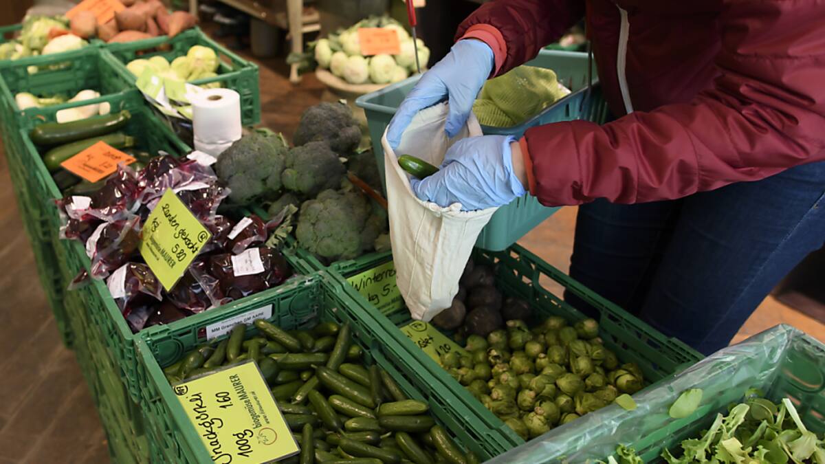 La surface de production de légumes bio en forte hausse en Suisse