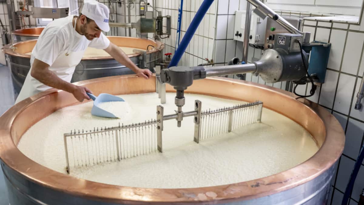Les produits laitiers suisses ont le vent en poupe