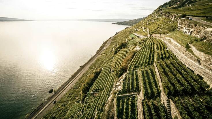 Association Lavaux Patrimoine