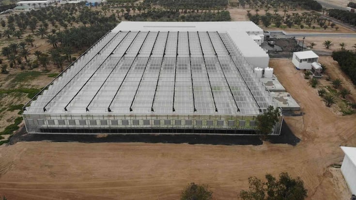 Clean Greens Solutions dépose le bilan