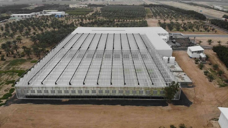 Clean Greens Solutions dépose le bilan