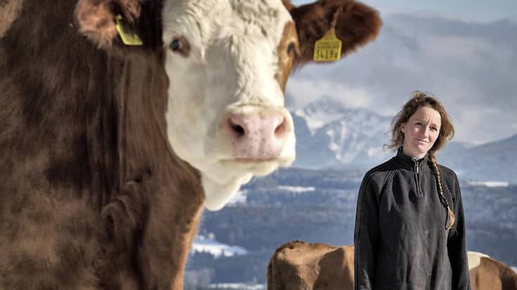 file7aj2r7kzait1cgcmvb5w