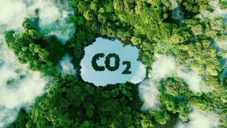 Concept depicting the issue of carbon dioxide emissions and its impact on nature in the form of a pond in the shape of a co2 symbol located in a lush forest. 3d rendering.