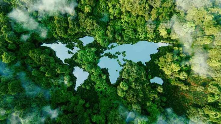 World