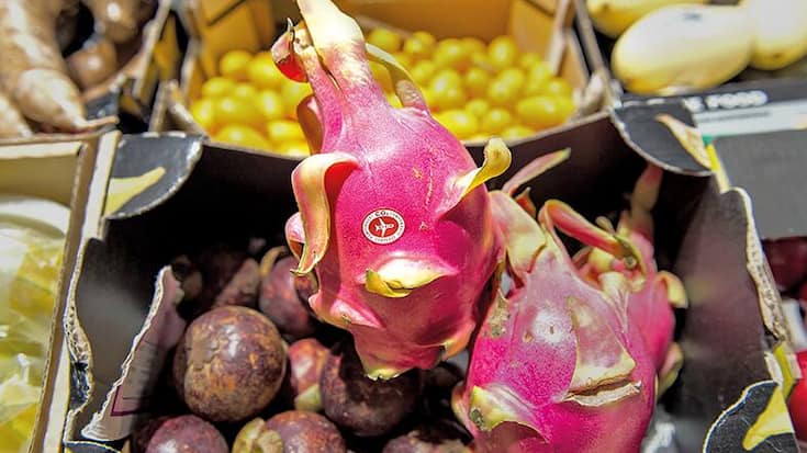 file77o8kas151k8t3f0mkn