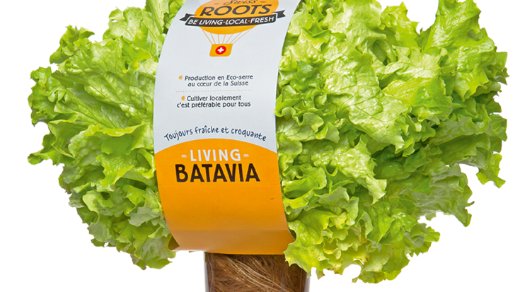 file709n2fpa6yeg09zje03