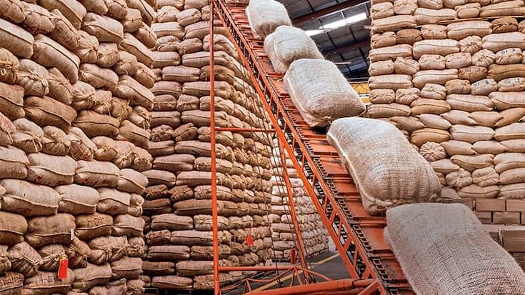 file6z1vbamzu031f7q11a3