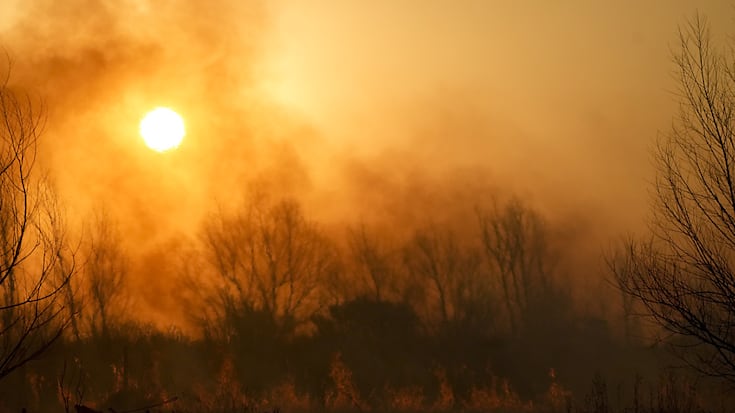 Les feux de forêt de plus en plus fréquents pourraient à terme faire perdre aux forêts boréales leur statut de puits de carbone (image d'illustration).