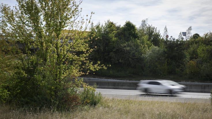 En Suisse romande, environ un quart de l'ensemble des espaces verts aux abords des autoroutes a un potentiel de biodiversité, comme ici sur la photo près de la jonction de La Sarraz (VD).