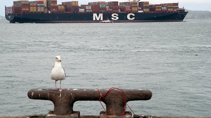 Mediterranean Shipping Company (MSC) a annoncé qu'elle avait volontairement modifié ses itinéraires autour du Sri Lanka pour réduire le risque d'accidents impliquant des baleines, des dauphins et des marsouins. (archives)