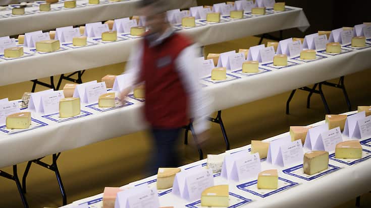 Présentés sur de longues tables installées à l'Espace Saint-Marc au Châble, 1064 fromages sont prêts à être dégustés.