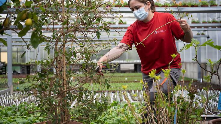 L'offre de places d'apprentissage pour l'été 2023 pourrait se tasser, selon un récent sondage (photo symbolique).