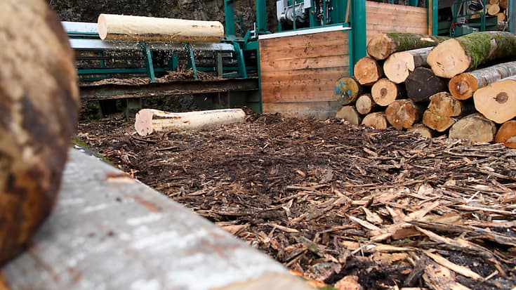 La demande pour du bois de chauffage est en nette augmentation avec la crise énergétique (photo symbolique).