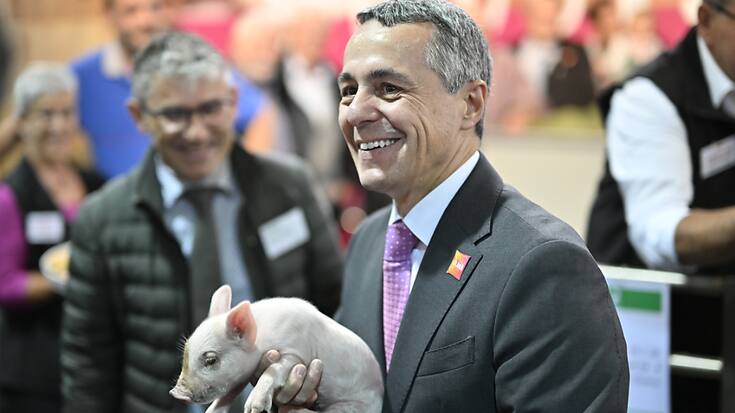 Comme le veut la tradition, le président de la Confédération Ignazio Cassis a posé pour les photographes avec un porcelet dans ses bras lors de l'ouverture de l'Olma jeudi à St-Gall.
