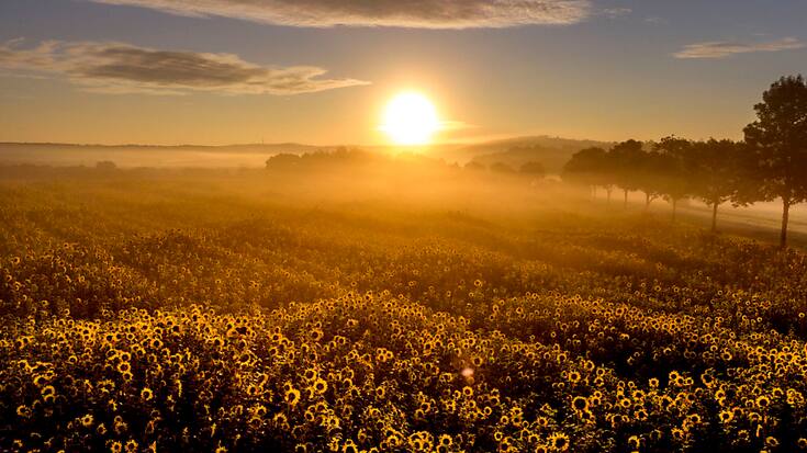 Il faut viser une "société tournesol" qui oriente ses besoins en énergie en fonction de la course du soleil, selon cette recherche de l'Empa.