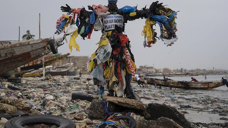 Certains sacs en plastique sont dits "biodégradables", "biosourcés" ou "compostables" (archives).