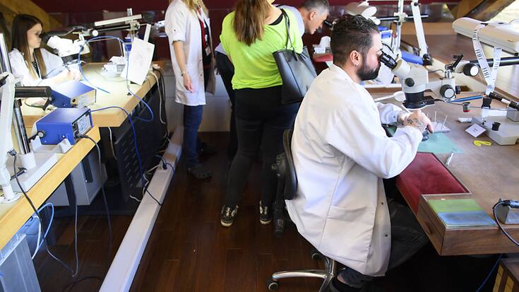 La croissance significative des exportations horlogères suisses en
2022 a permis de dépasser la barre des 60'000 collaborateurs, plus atteinte depuis
le milieu des années 70 (archives).