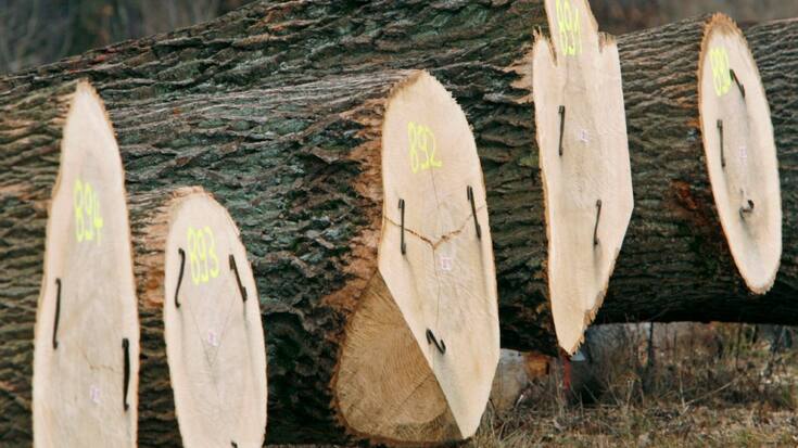 Dans l'industrie manufacturière, les secteurs des articles en bois et de la papeterie ainsi que de la métallurgie sont ceux qui bénéficient le plus de la tendance positive. (archive)