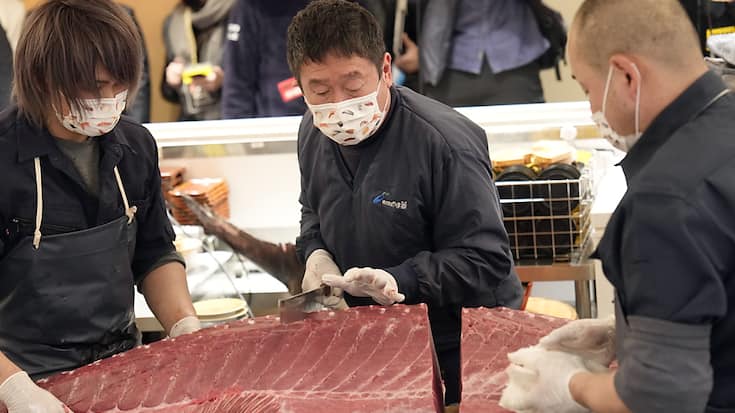 A la vente aux enchères de thons à Tokyo, la pièce maîtresse était un thon rouge de 212 kilos pêché au large du département d'Aomori, dans le nord du Japon.