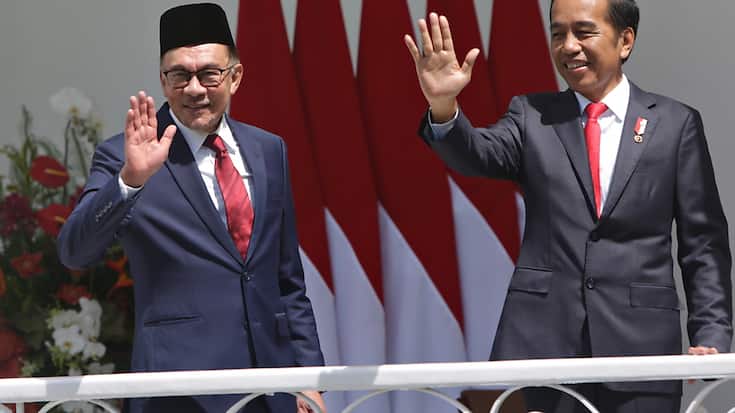 Le président indonésien (à droite) et le premier ministre malaisien veulent défendre la production d'huile de palme. Cela alors que de vastes étendues de forêt tropicale sont encore détruites pour faire place aux plantations de palmiers, mettant en péril des espèces menacées.
