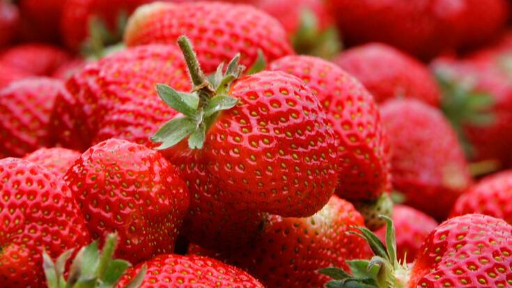 Aldi ne fait la promotion des fraises plus qu'en saison.