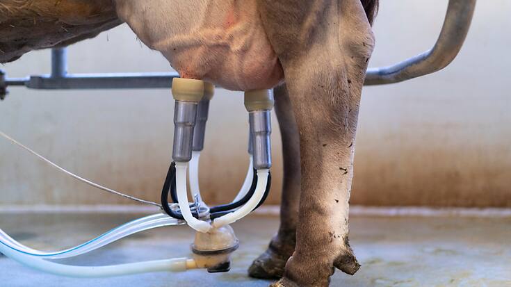 Les objectifs de réduction ne couvrent que les productions à base de lait frais. (archive)