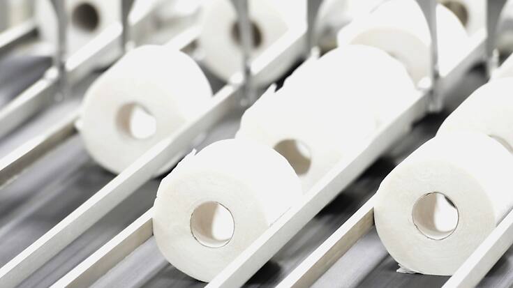 La présence de "polluants éternels" dans le papier hygiénique peut s'expliquer par le fait que certains fabricants ajoutent des substances chimiques lors de la transformation du bois en pâte à papier (image symbolique).