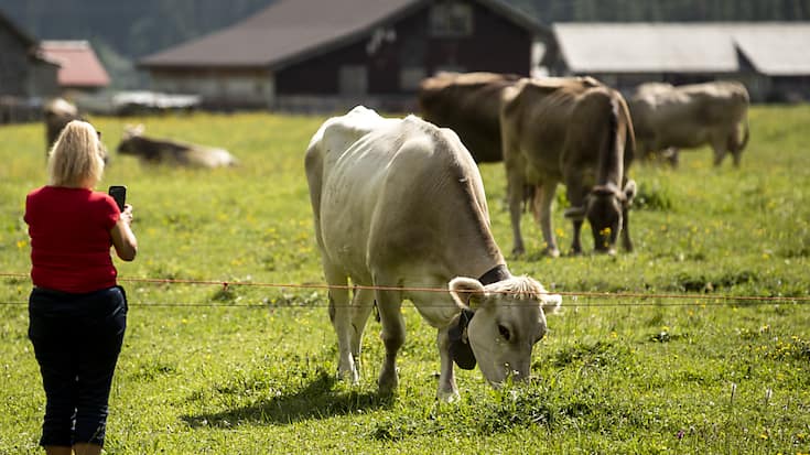 Pour la gauche et le PVL, la réforme agricole ne répond pas à la crise climatique et de la biodiversité (photo d'illustration).