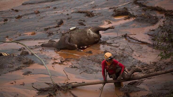 Le barrage avait cédé près de la ville de Mariana, dans l'Etat de Minas Gerais, libérant une gigantesque coulée de boue qui avait totalement submergé le village de Bento Rodrigues, faisant 19 morts et privant plus de 600 personnes de leur domicile. (archives)