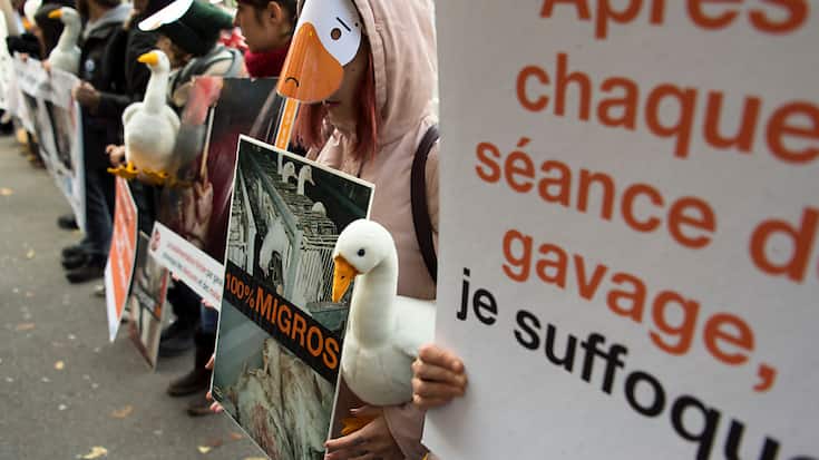 La méthode de production de foie gras devra être clairement affichée (illustration).