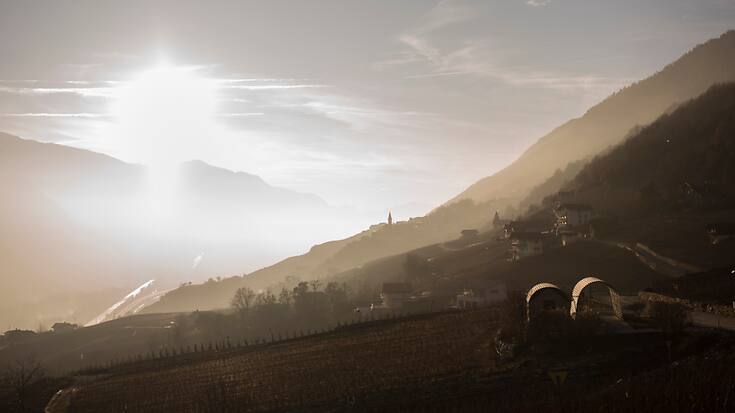 L&#8217;Interprofession de la Vigne et du Vin (IVV) du Valais veut repenser le vignoble de demain (archives).
