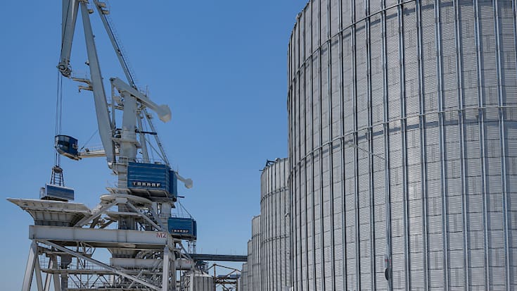 Certains pays avaient unilatéralement interdit les importations agricoles d'Ukraine (image symbolique).