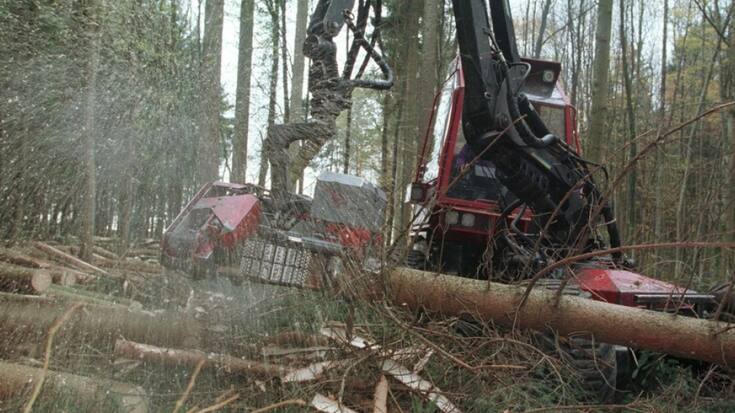 En Suisse, 185 hectares de forêts sont défrichés chaque année - l'équivalent de 260 terrains de football - pour construire des infrastructures, surtout sur le Plateau (image d'illustration).
