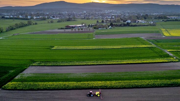 En s'appuyant sur l'intelligence artificielle, la technologie d'Ecorobotix est en mesure de reconnaître les plantes individuelles, de les classer en temps réel et de pulvériser les mauvaises herbes avec précision sans affecter les cultures environnantes ou le sol. (AP Photo/Michael Probst)