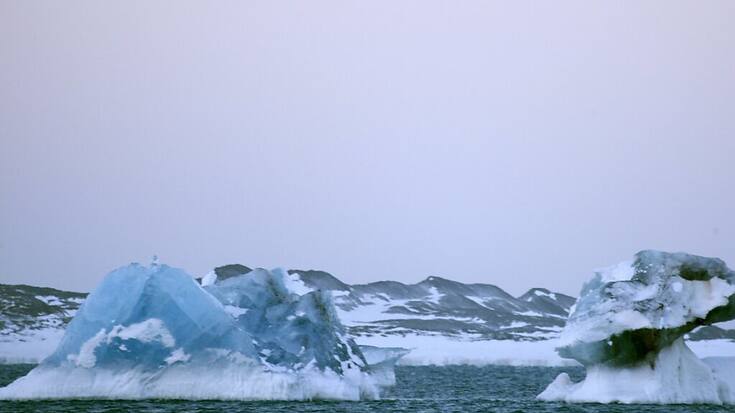 Il s'agit là du sauvetage le plus au nord jamais effectué (Photo d'illustration).