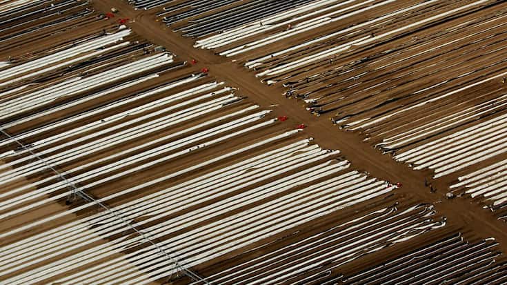 Cette législation vise à imposer aux Etats des objectifs contraignants de restauration des terres et espaces marins abîmés par la pollution ou l'exploitation intensive, pour préserver la biodiversité. Les eurodéputés devront désormais en négocier le contenu avec les Etats membres.