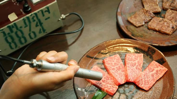 Un employé d'un restaurant japonais mesure la radioactivité de certains aliments (archives).