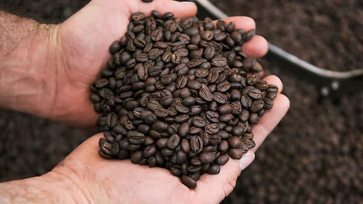 Les prix du café notamment ont allégé la facture des importations au mois de juillet. (archive)