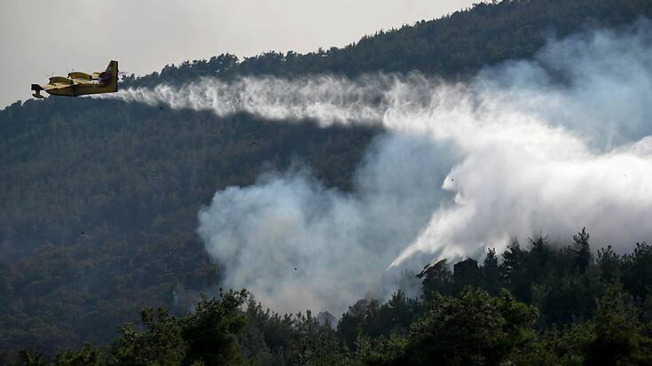 "Si nous prenons en compte les zones forestières brûlées par l'incendie dans le sud de l'Evros, nous parlons d'un énorme désastre écologique. L'image est tragique", a affirmé la garde-forestière Dora Skartsis, qui dirige la Société de la protection de la biodiversité de Thrace.