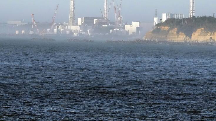 "Nous avons pu confirmer que les premiers rejets d'eau ne contenaient pas de radionucléides à des niveaux nocifs", a dit Rafael Grossi, directeur de l'AIEA.