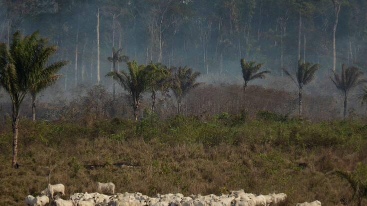 Chaque année, la combustion des énergies fossiles et, dans une bien moindre mesure, la déforestation, émettent environ 40 milliards de tonnes de CO2, principal facteur de réchauffement de la planète.