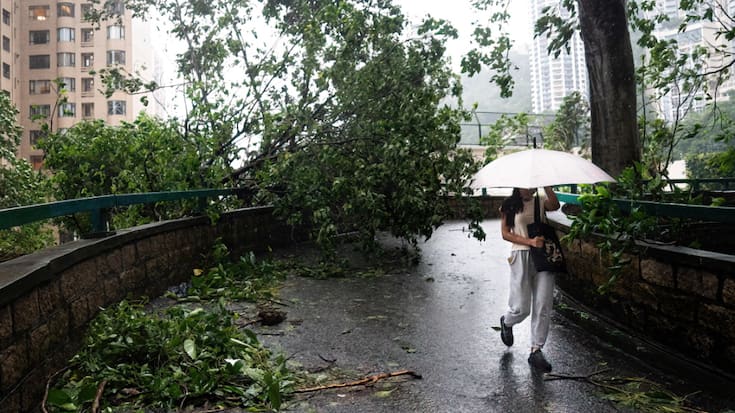 Les dégâts matériels causés par Saola sont importants, mais beaucoup moins étendus que ceux provoqués par le typhon Mangkhut en 2018.