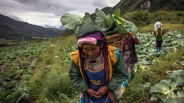 Selon l'ONU, au rythme actuel, 575 millions de personnes vivront toujours dans l'extrême pauvreté en 2030, loin de l'éradication espérée. Or 342 millions (60%) d'entre elles seront des femmes, soit environ une femme sur douze dans le monde.