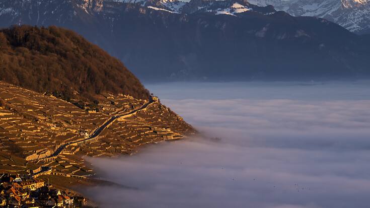 La canton de Vaud, avec notamment sa région de Lavaux, veut attirer davantage de visiteurs (archives).