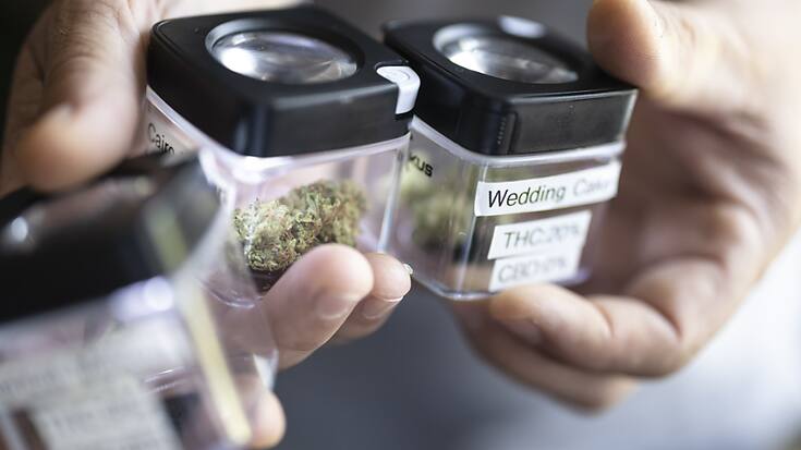 A Lausanne, le point de vente de cannabis légal ouvrira d'ici la fin de l'année dans le quartier du Maupas (photo d'illustration).