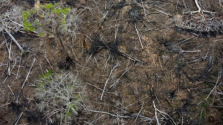 L'association Sherpa a porté plainte contre BNP Paribas, Crédit Agricole, BPCE et Axa pour "blanchiment et recel", les accusant de soutien à des entreprises responsables de "déforestation illégale" au Brésil. (archives)