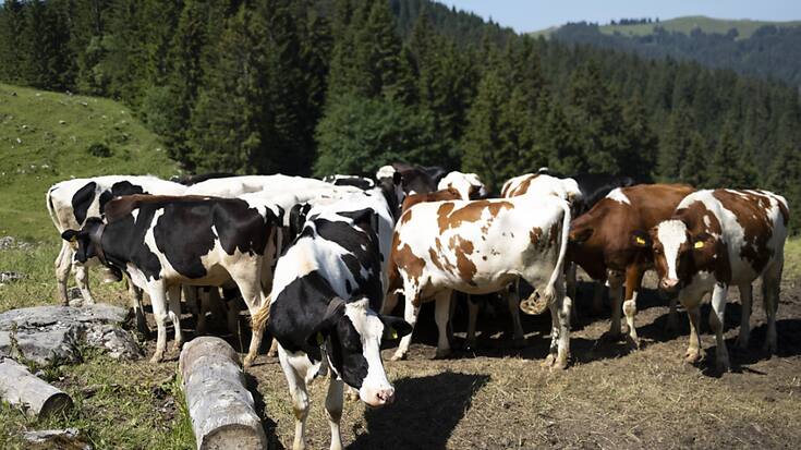 Les deux commissions des finances du Parlement veulent octroyer davantage de moyens au monde agricole (image d'illustration).