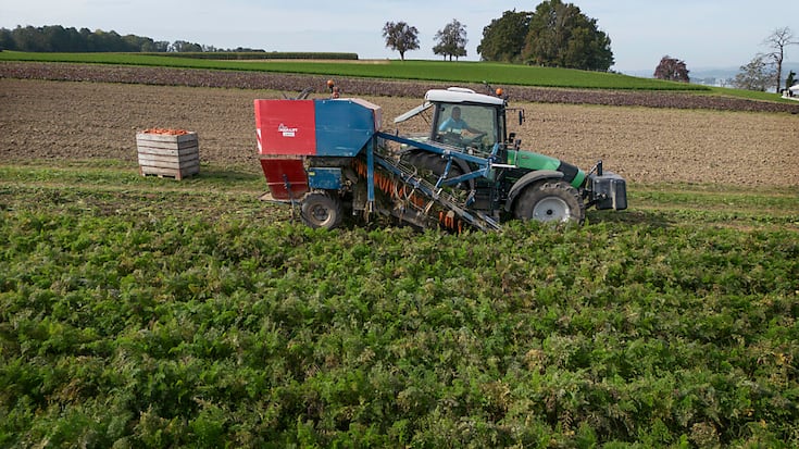 La Suisse a assez de bonnes terres agricoles pour l'instant. Mais la pression sur ces surfaces va s'intensifier (illustration).
