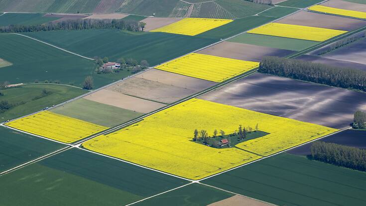 Suivant le Conseil des Etats, le National veut aussi donner un coup de pouce aux agriculteurs (image d'illustration).