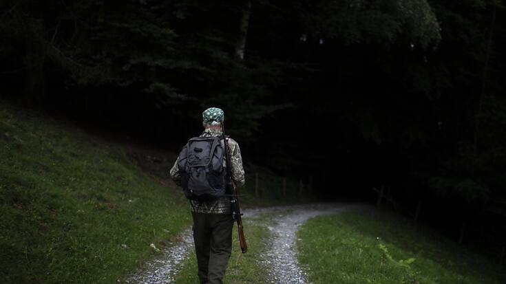 Pour l'aider dans sa chasse au loup, le canton du Valais fait appel à des chasseurs qui ont dû suivre une formation spécifique (image d'illustration).